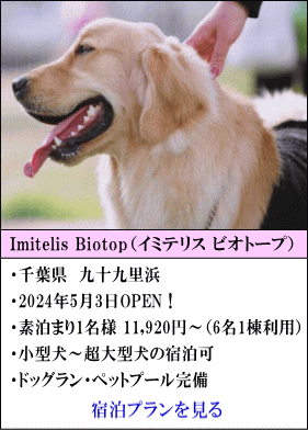 Imitelis Biotop　千葉県九十九里浜　2024年5月3日OPEN！　素泊まり1名様11,920円～　小型犬～超大型犬の宿泊可　ドッグラン・ペットプール完備　宿泊プランを見る