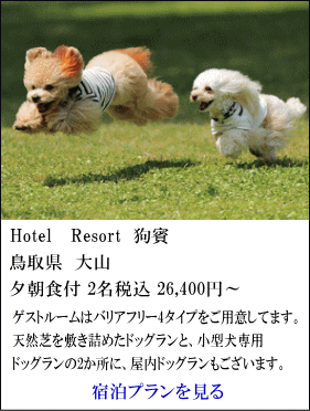 Hotel-Resort-狗賓　鳥取県大山　夕朝食付2名税込26,400円～　ゲストルームは、バリアフリー4タイプをご用意しています。天然芝を敷き詰めたドッグランと、小型犬専用ドッグラン2ヶ所に、屋内ドッグランもございます。　宿泊プランを見る