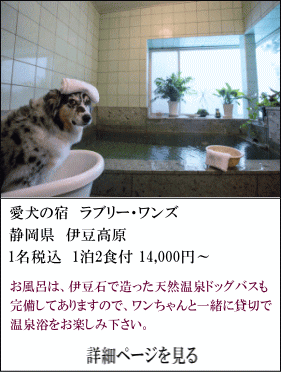 愛犬の宿ラブリー・ワンズ　静岡県伊豆高原　1名税込1泊2食付14,000円～　お風呂は、伊豆石で造った天然温泉ドッグバスも完備してありますので、わんちゃんと一緒に貸し切りで温泉欲をお楽しみください。　詳細ページを見る