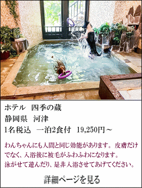 ホテル四季の蔵　静岡県河津　1名税込1泊2食付19,250円～　ワンちゃんにも人間と同じ効能があります。皮膚だけでなく、入浴後に被毛がふわふわになります。泳がせて遊んだり、是非入浴させてあべてください。　詳細ページを見る