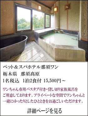 ペット＆スパホテル那須ワン　栃木県那須高原　1名税込1泊2食付15,500円～　ワンちゃん専用バスタブ付・貸し切り家族風呂をご用意しております。プライベートな空間でワンちゃんと一緒にゆったりとしたひとときをお過ごし頂けます。　詳細ページを見る