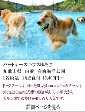 パートナーズハウスゆあさ　和歌山県白浜・白崎海洋公園　1名税込1泊2食付15,400円～　ドッグプールは、ゆったりとした5.4ｍ×3.6ｍのプールは30cｍと80cmの2段階の深さがあり、小型犬から大型犬まで水遊びが楽しめ大人気です。　詳細ページを見る