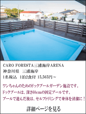 CARO-FORESTA-三浦海岸-ARENA　神奈川県三浦海岸　1名税込1泊2食付15,565円～　ワンちゃんのためのドッグプールガーデン施設です。ドッグプールは、深さ60㎝の固定プールです。プールで遊んだ後は、セルフトリミングで身体を清潔に！　詳細ページを見る