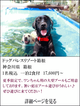 ドッグパレスリゾート箱根　神奈川県箱根　1名税込1泊2食付17,600円～　夏季限定で、ワンちゃん用の大型プールもご用意しております。暑い夏はプール遊びがうれしい♪ぜひ遊びに来てください。　詳細ページを見る